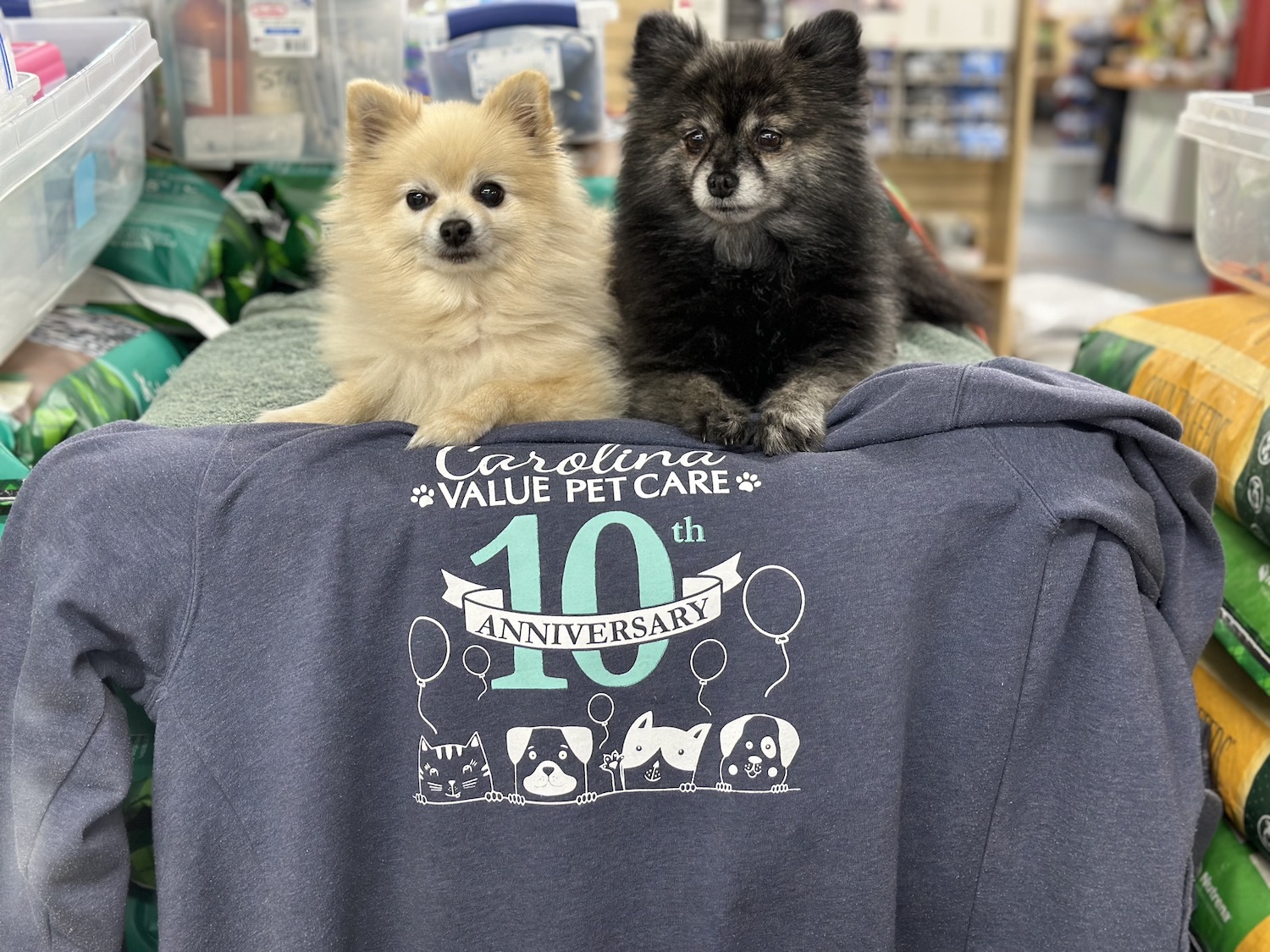 Two dogs on t shirt