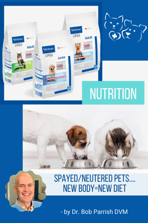 Unwanted Weight Gain From Spaying & Neutering