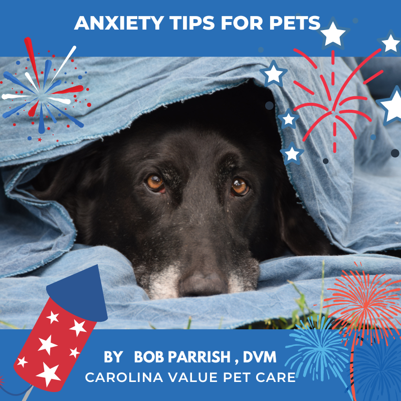 Anxiety Tips For The Holiday
