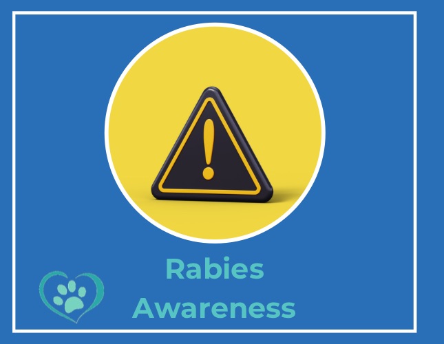 Rabies Awareness: What Every Pet Owner Should Know