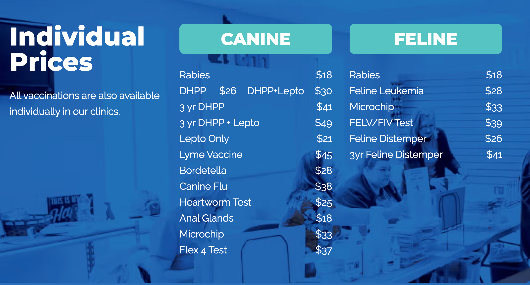 Individual Pricing 