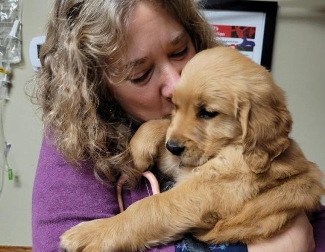 Getting to Know Dr. Trenna: A Heartfelt Approach to Veterinary Care