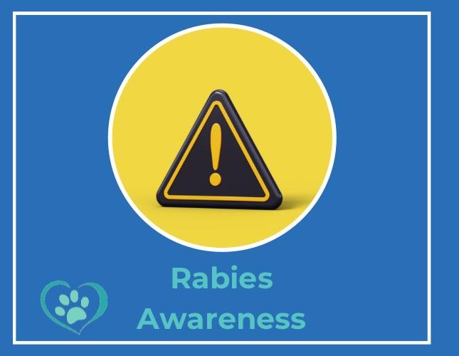 Rabies Awareness: What Every Pet Owner Should Know