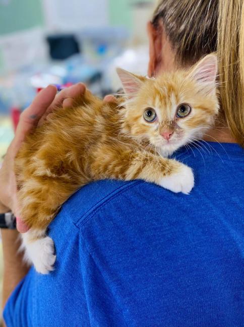 288199128_2659037670896722_6069059563495771995