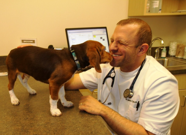 Dr Jason 